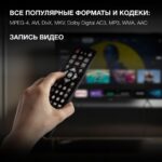 Цифровой TV ресивер HYUNDAI H-DVB240 черный 18