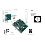 Материнская плата ASUS Pro A520M-C II/CSM, AM4, AMD A520, 2xDDR4, 4xSATA, 1xM.2, 1xPCI-E 3.0 x16, 2xPCI-E x1, 1xDVI-D, 1xDP, 1xHDMI, 1xVGA, 1x 1Gb LAN, 2xUSB-A 2.0, 4xUSB-A 3.2 Gen 1, 3x3.5 мм, Micro-ATX 10