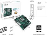 Материнская плата ASUS Pro A620M-C-CSM, AM5, AMD A620, 2xDDR5, 4xSATA, 2xM.2 PCIe 4.0 x4, 1xPCIe 4.0 x16, 2xPCIe x1, 1xRJ45 1GbE, 1xUSB 3.2 Gen 2, 3xUSB 2.0, 1xUSB-C 3.2 Gen 2, 1xDVI-D, 1xDP, 1xHDMI, 1xVGA, 3x3.5 мм, 7.1, mATX 1