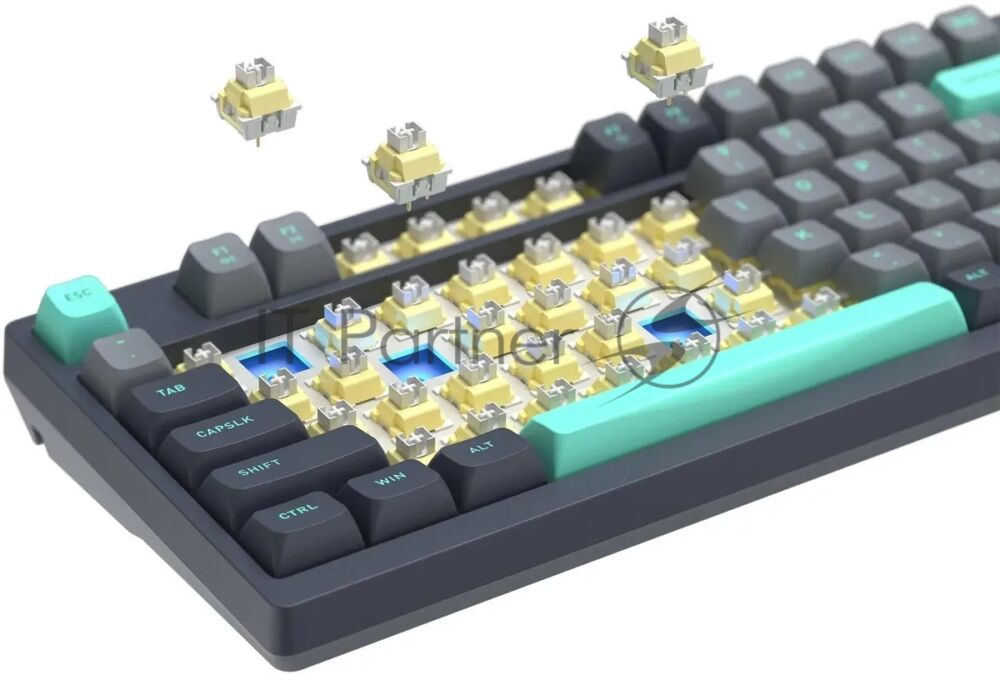 Клавиатура проводная A4Tech Fstyler FS300 механическая черный/серый USB for gamer LED (FS300 PANDA ROCK) 1 Клавиатура проводная A4Tech Fstyler FS300 механическая черный/серый USB for gamer LED (FS300 PANDA ROCK) 1