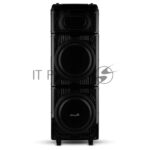 Колонка 10" (20-22 SKILLETS BOX 2500 ) динамик 2шт/10" ELTRONIC с TWS 4