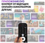 Телевизор Haier 65" AX Pro черный QLED 4K UHD 120Hz Smart TV 10