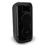 Колонка 08" (20-93 DANCE BOX 800) динамик 2шт/8" ElTRONIC с TWS 14
